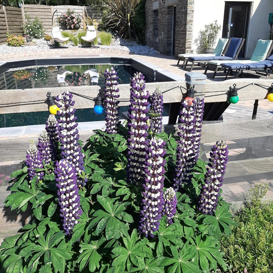 Le Val Daniniere B&B Adult Only Le Mesnil-Garnier 外观 照片