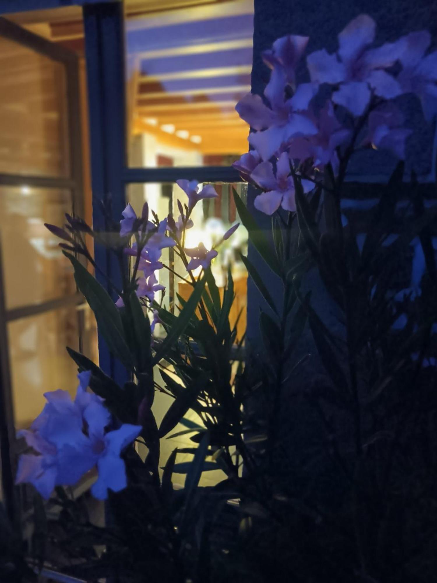 Le Val Daniniere B&B Adult Only Le Mesnil-Garnier 外观 照片